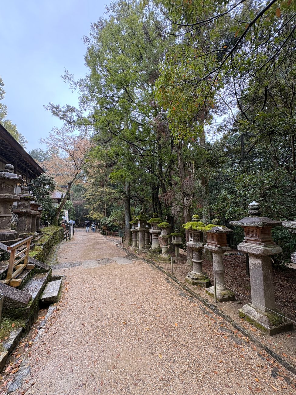 A serene stone path lined by autumn maple trees and traditional bamboo fences in Kyoto